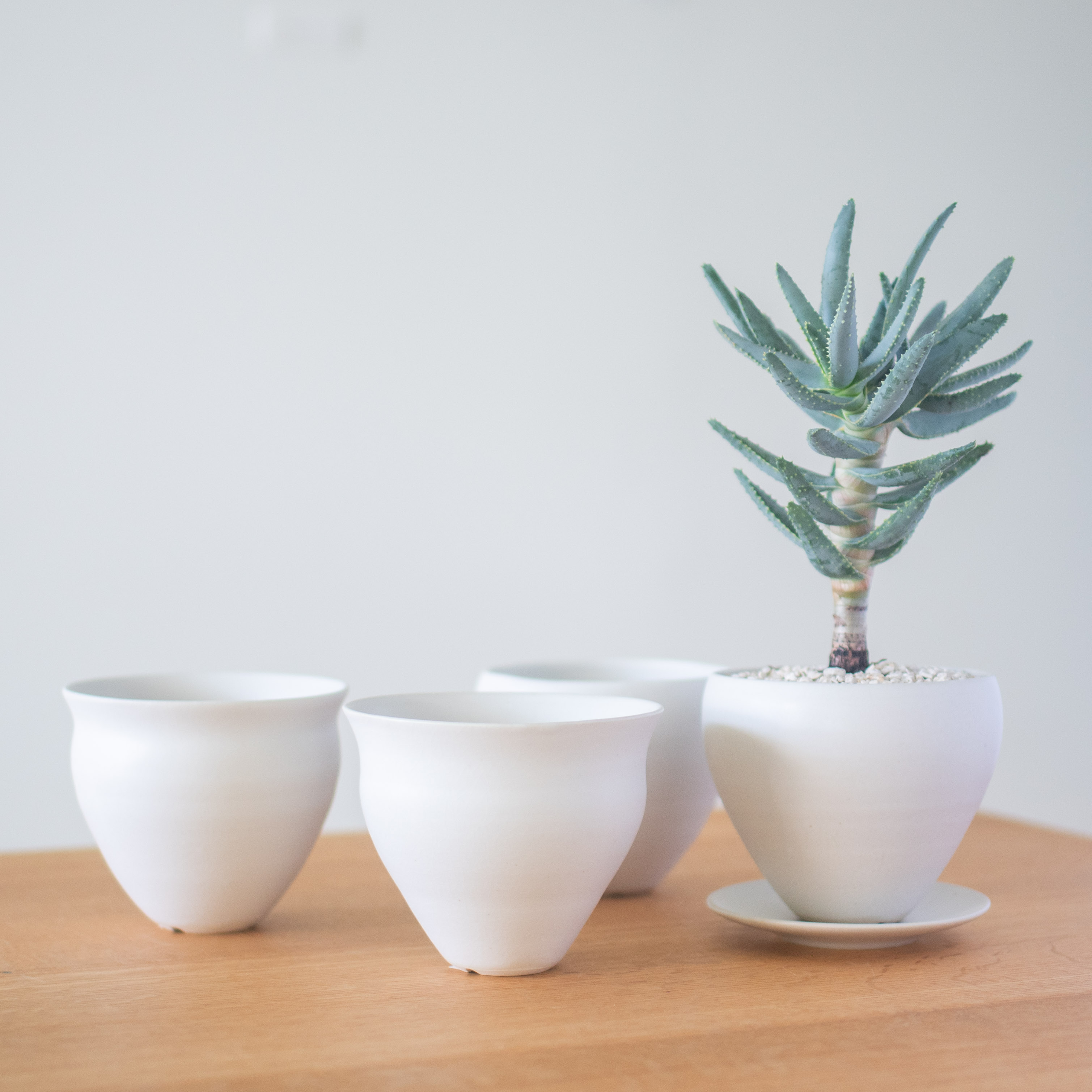 い*お様 植木鉢まとめて 10月8日までの期間限定 | Enkel | 植木鉢 L | HOTOLI オンライン