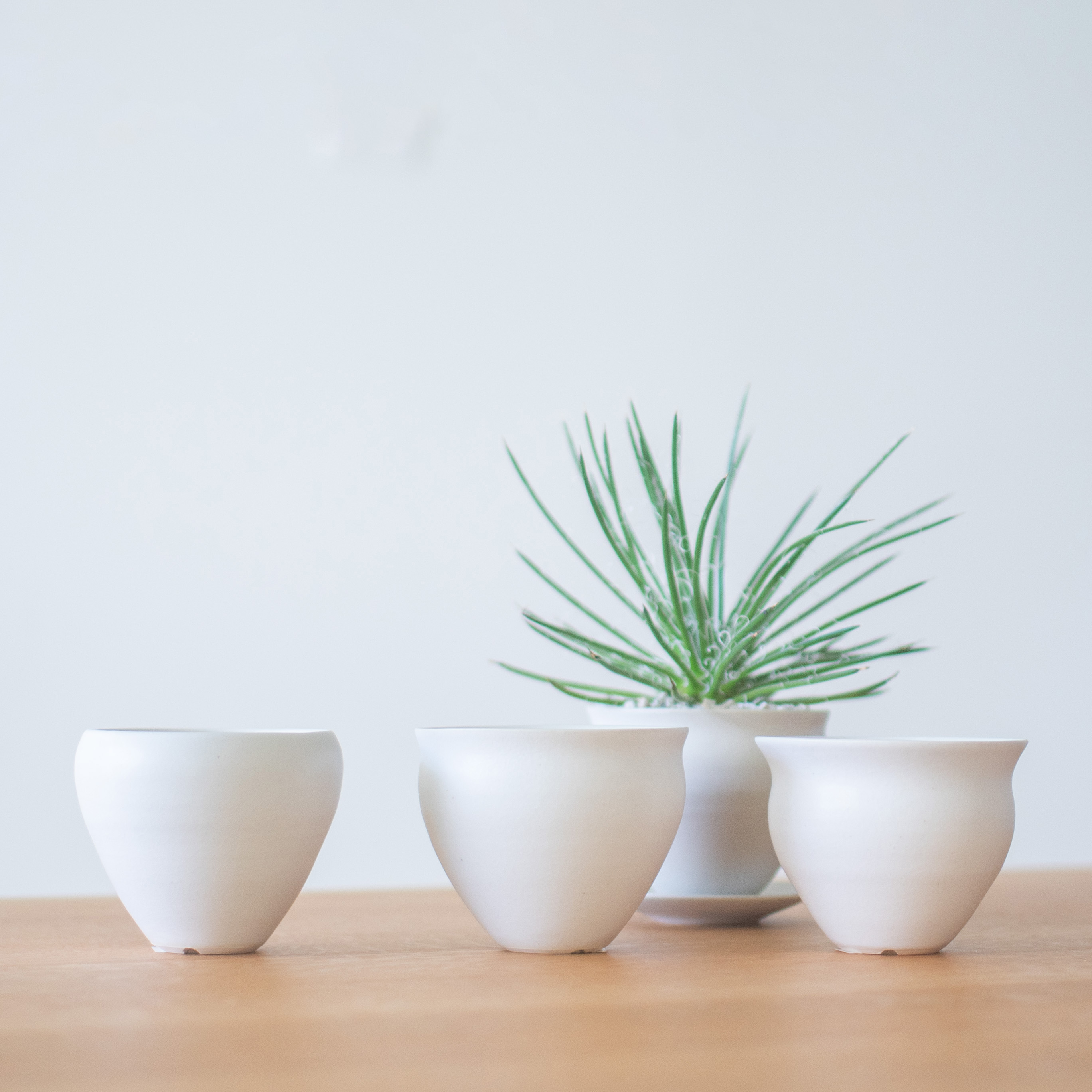 い*お様 植木鉢まとめて 10月8日までの期間限定 | Enkel | 植木鉢 M | HOTOLI オンライン