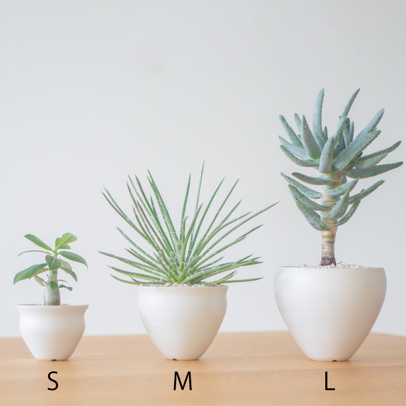 い*お様 植木鉢まとめて 10月8日までの期間限定 | Enkel | 植木鉢 L | HOTOLI オンライン