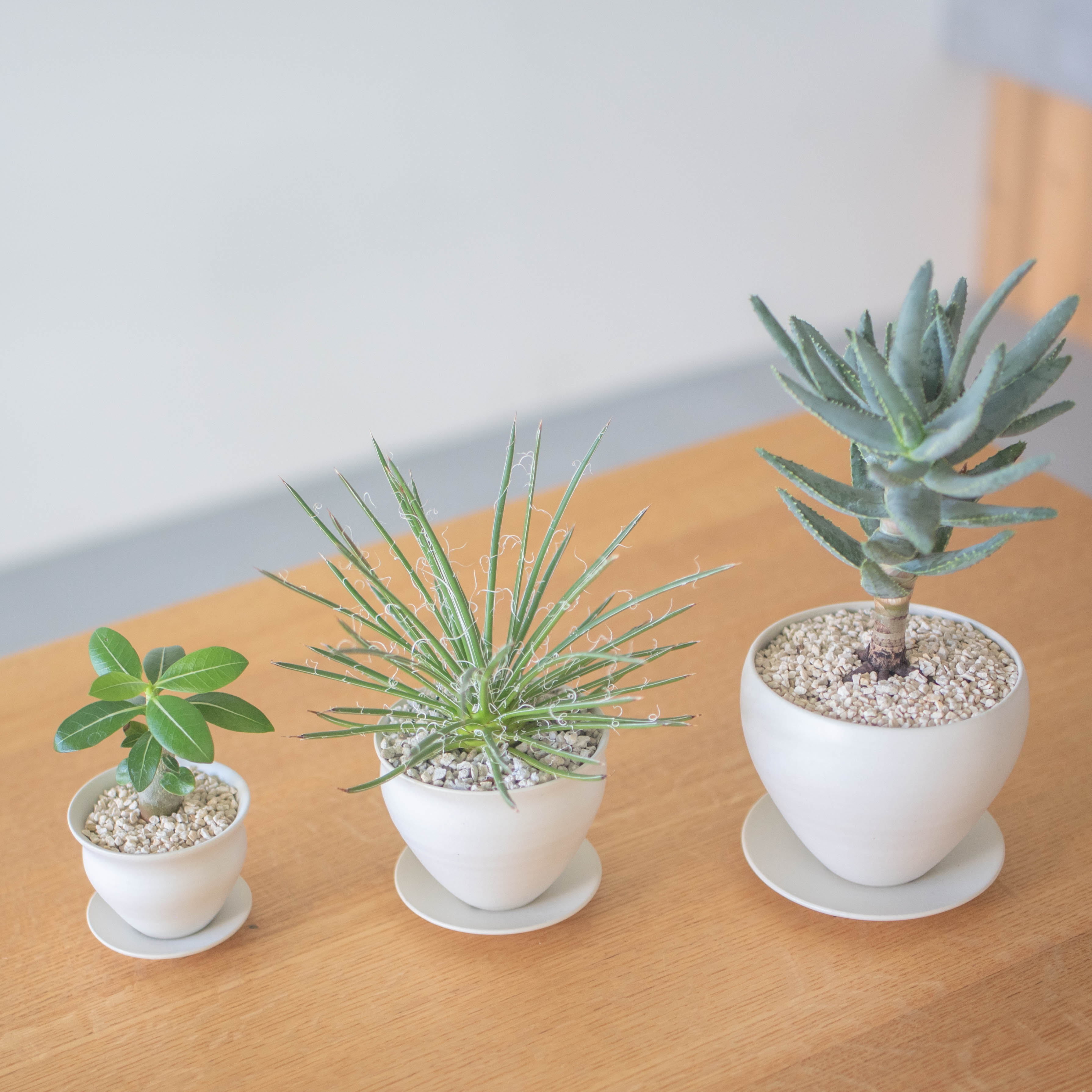 い*お様 植木鉢まとめて 10月8日までの期間限定 | Enkel | 植木鉢 L | HOTOLI オンライン